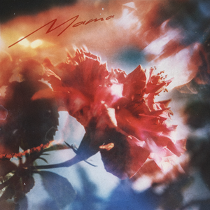 啊灬啊灬啊灬快灬深用力A片软件
