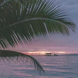 啊灬啊灬啊灬快灬深用力A片软件
